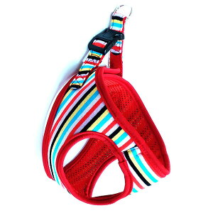 쐻쏊 XgCv\tgn[lXSS }`bh If i1̂lił