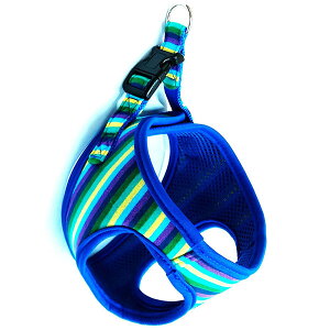 y12Zbgz 쐻쏊 XgCv\tgn[lXSS }`u[ If