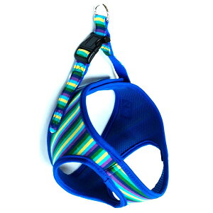 쐻쏊 XgCv\tgn[lXS }`u[ If i1̂lił