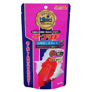 y24Zbgz L[ xr[S[h 65g  GT Ђ J[ p t[h 㐫 ybg Fg  If