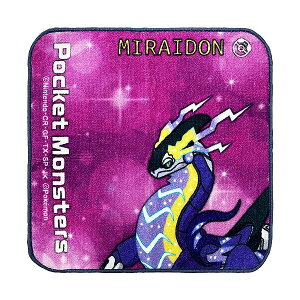 y2Zbgz nV  (Hayashi) ~j^I 20×20cm |P ~Ch PJ411171