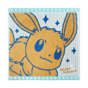 y3Zbgz nV  (Hayashi) ~j^I 25×25cm |P C[uC PN200800