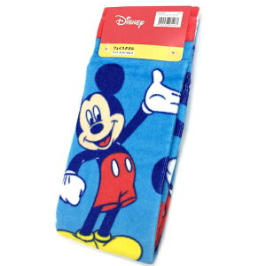 y3Zbgz nV  (Hayashi) tFCX^I 34×80cm tBAX ~bL[ FN450000