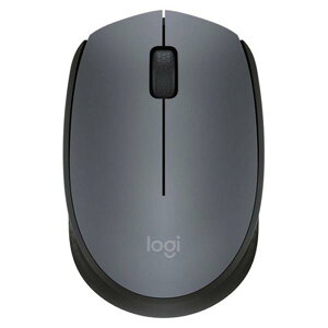 WN[ M171RGR CX}EX M171r i