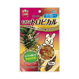 【3個セット】 マルカン もぎたて トロピカル MR-670 厳選素材