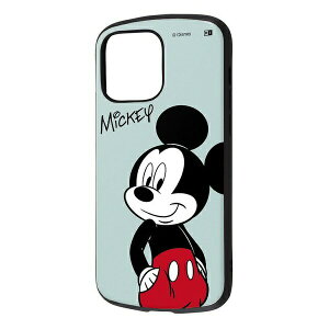 iPhone 14 Pro MAX �w�f�B�Y�j�[�L�����N�^�[�x/�ϏՌ��P�[�X ProCa/�~�b�L�[�}�E�X