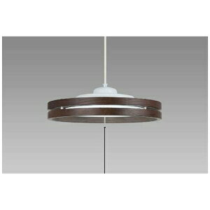 �z�^���N�X HCDB0854 LED�y���_���g���C�g(�`8��) �����F