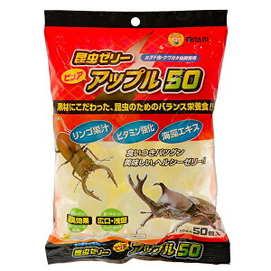�~�^�j �s���A�A�b�v��50 16g×50��