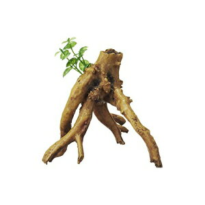 �W�F�b�N�X �������i �����t������ �u�����` �{�̃T�C�Y ��14.5×���s14.5×����14cm GEX �C���e���A �A�N�A���E�� ���� �l�H���� �y�b�g ���I�f�� ���i��1�̂��l�i�ł�