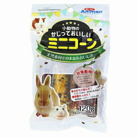 【3個セット】 ドギーマン ミニアニマン 小動物のかじっておいしいミニコーン 120g ウサギ、ハムスター、リス、チンチラ、モルモット、オカメインコなど オカメインコ ドギーマンハヤシ 小動物フード 小動物用フード ミニコーン 天然素材 ハムスター 厳選素材