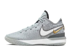 oXPbgV[Y obV iCL Nike Zoom LeBron NXXT GEN WOLF GRAY/METALIC GLD