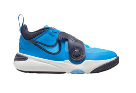 バスケットシューズ バッシュ ナイキ Nike Team Hustle D11 PS PS Blue/Grey/White 【PS】