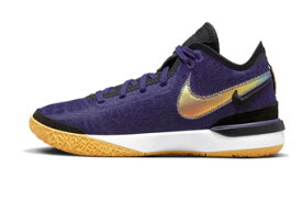 バスケットシューズ バッシュ ナイキ Nike Zoom LeBron NXXT GEN　LA Purple/Black/Gold