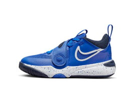 バスケットシューズ バッシュ ナイキ Nike TEAM HUSTLE D 11 PS PS Royal Blue/Navy 【PS】