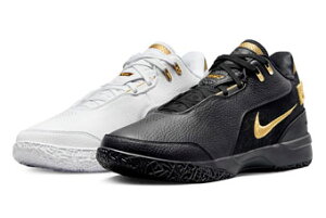 oXPbgV[Y obV GNCeB iCL Nike Zoom LeBron NXXT GEN AMPD Black/White/Gold