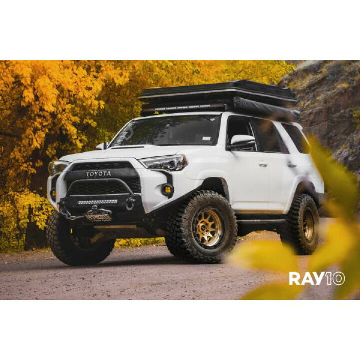 楽天市場】SCS （ステルスカスタム）RAY10 マットダークブロンズ 17 