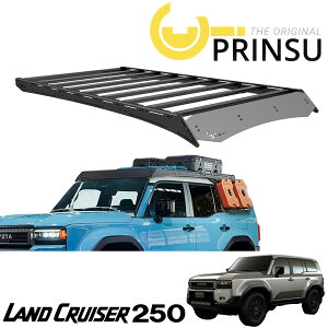 PRINSU ( vX ) PRINSU PRO [tbN 2024N` g^ N250n ubN A~ (WIND DEFLECTOR : X^_[h) hN[U[250n