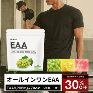�y30%OFF�N�[�|���zEAA �E���g�� Original workout blend �A�~�m�_ �K�{�A�~�m�_ 510g �l�H�Ö����s�g�p �N���A�`�� �s�[�` �}�X�J�b�g �Ԃǂ� ������ ���Y �؃g�� �_�C�G�b�g eaa �T�v�������g ��J��