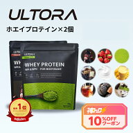 プロテイン2袋セット ウルトラ ホエイプロテイン 大容量 WPC WPI 抹茶 チョコ ストロベリー 810g 2袋 ダ…