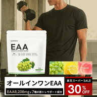 EAA 人工甘味料が苦手な方へ ウルトラ Original workout blend アミノ酸 必須アミノ酸 510g クレアチン …