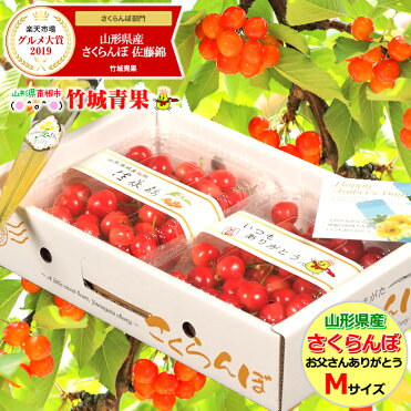 【2020/あす楽対応】父の日 プレゼント さくらんぼ 佐藤錦 700g (秀品/Mサイズ/専用化粧箱入り)【父の日/お届け日時指定OK/山形県産/ギフト/贈り物/花 /カーネーション/メッセージカード/食べ物/フルーツ/送料無料/山形/お取り寄せ】｜ROOM - 欲しい! に出会える。