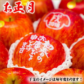 楽天市場 予約 りんご 文字入り サンふじ 3kg 特秀品 8玉 11玉入り 山形県産 リンゴ 林檎 蜜入り ギフト 贈り物 贈答 プレゼント 御歳暮ギフト お歳暮ギフト 果物 フルーツ 3キロ 山形県 送料無料 お取り寄せ 竹城青果