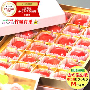 【2020/遅れてごめんね】母の日 ギフト さくらんぼ 佐藤錦 プレミアムボックス(秀品/Mサイズ/24粒入り)【山形県産/母の日ギフト/贈り物/プレゼント/花/カーネーション/メッセージカード/果物/フルーツ/お取り寄せ】