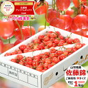 【2箱購入で送料無料/お届け日時指定OK】 当店ご家庭用人気No,2! 訳あり さくらんぼ 佐藤錦 1kg (露地/Mサイズ/バラ詰め) 山形県産 露地物 サク...