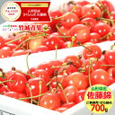 【送料無料/お届け日時指定OK】訳あり さくらんぼ 1kg 佐藤錦(露地/Mサイズ/バラ詰め)【露地物/山形県産/サクランボ/果物/フルーツ/人気/売れ筋/ラン...