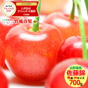 【送料無料/お届け日時指定OK】さくらんぼ 佐藤錦 700g (露地/秀品/Mサイズ/ばら詰め)【露地物/山形県産/サクランボ/果物/フルーツ/ギフト/贈り物/...