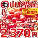 【予約】 ご家庭用 さくらんぼ 佐藤錦 (露地/Mサイズ/1kg/バラ詰め)【山形県産/露地物/サクランボ/果物/フルーツ/自宅…