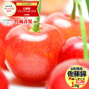 【2箱購入で送料無料/お届け日時指定OK】さくらんぼ 佐藤錦 1kg (露地/秀品/Lサイズ/ばら詰め)【露地物/山形県産/サクランボ/果物/フルーツ/ギフト/...
