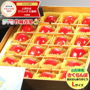 【2020/あす楽対応】父の日 プレゼント さくらんぼ 佐藤錦 (秀品/Lサイズ/24粒入り)【父の日にぴったり/山形県産/ギフト/贈り物/花 /カーネーション/メッセージカード/食べ物/フルーツ/送料無料/山形県/お取り寄せ】