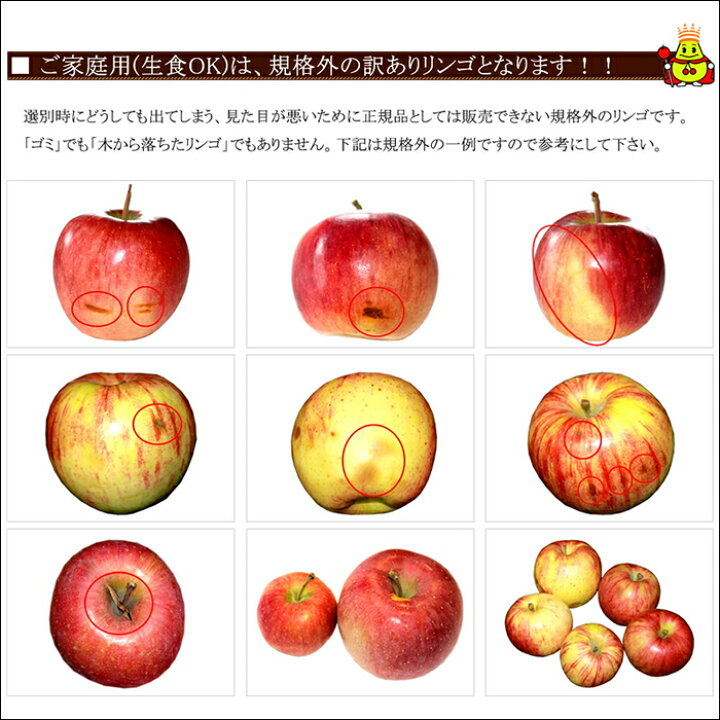 ★期間限定★青森県産 ふじ りんご 家庭用 6~8玉 ⑥