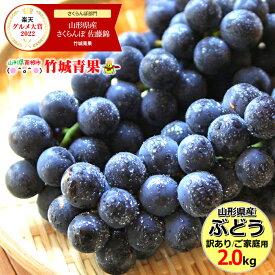 【8月下旬から順次出荷予定】山形県産 ブドウ キャンベル 2kg(ご家庭用/3房〜10房)【 山形産 ぶどう 葡萄 ご自宅用 ご家庭用 お得 訳あり わけあり お試し 果物 フルーツ 人気 産地直送 送料無料 山形県 お取り寄せ 東北 】