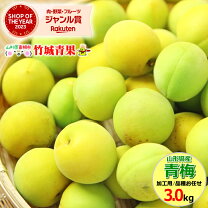 楽天市場】青梅 時期の通販 