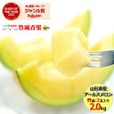 【9月上旬から順次出荷予定】山形県産 アールスメロン 2玉(秀品/1玉 約2kg)※日時指定はメールで※【山形産 メロン 青肉 青肉メロン 庄内メロン 御中元 お中元 夏 ギフト 送料無料 暑中見舞い 残暑見舞い プレゼント 果物 フルーツ 人気 産地直送】