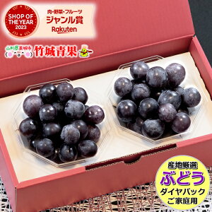 y9{珇oח\zYnI ƒp Ԃǂ sI[l _CpbN(250g×2P)w̓[ŁyR`Y Ԃǂ uhE  p ƒp  󂠂 킯  