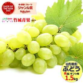 【9月中旬から順次出荷予定】山形県産 ブドウ シャインマスカット 1.5kg(秀品/2房〜3房)※日時指定はメールで※【山形産 ぶどう ブドウ 葡萄 御中元 お中元 夏 ギフト 送料無料 暑中見舞い 残暑見舞い プレゼント 果物 フルーツ 人気 お取り寄せ 贈り物 】