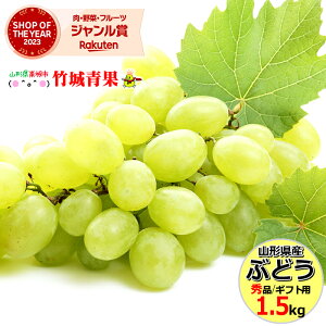 y9{珇oח\zR`Y Ԃǂ VC}XJbg 1.5kg(Gi/2`3[)w̓[ŁyR`Y Ԃǂ uhE  䒆   Mtg   c