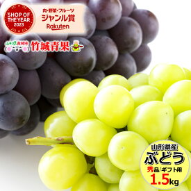 【9月中旬から順次出荷予定】山形県産 ぶどう ピオーネ＆シャインマスカット 1.5kg(秀品/2〜3房)※日時指定はメールで※【山形産 ぶどう ブドウ 葡萄 御中元 お中元 夏 ギフト 送料無料 暑中見舞い 残暑見舞い プレゼント 果物 フルーツ 人気 お取り寄せ】
