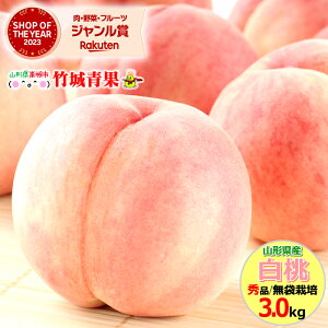 y{IzR`Y   3kg(Gi/܍͔|/7`13/یLbvdl)w̓[ŁyR`Y   䒆   Mtg   c 