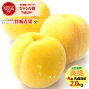【8月下旬から順次出荷予定】山形県産 もも 黄桃 2kg(秀品/有袋栽培/5〜9玉/保護キャップ仕様)※日時指定はメールで※【山形産 もも モモ 黄金桃 御中元 お中元 夏 ギフト 送料無料 暑中見舞い 残暑見舞い プレゼント 果物 フルーツ 人気 産地直送】