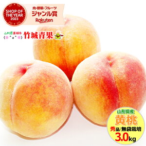 y{IzR`Y   3kg(Gi/܍͔|/7`13/یLbvdl)w̓[ŁyR`Y    䒆   Mtg   c