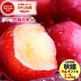 【9月中旬から順次出荷予定】山形県産 すもも 秋姫 1.2kg(秀品/5〜12玉前後)※日時指定はメールで※【山形産 スモモ あきひめ プラム 高級プラム 御中元 お中元 夏 ギフト 送料無料 暑中見舞い 残暑見舞い プレゼント 果物 フルーツ 人気 産地直送 お取り寄せ】