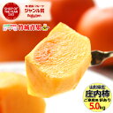 【10月下旬から順次出荷予定】山形県産 柿 庄内柿 5kg(ご家庭用/30～45玉)※日時指定はメールで※【山形産 カキ 柿 刀…