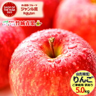 ＼5と0のつく日は店内全品ポイント10倍！／【即日発送実施中！】山形県産 訳あり りんご サンふじ 5kg(ご…