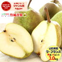 【10月下旬から順次出荷予定】山形県産 洋梨 ラ・フランス 3kg(秀品/大玉/6〜10玉入り)※日時指定はメールで※【西洋…