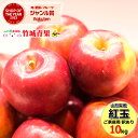 【10月上旬から順次出荷予定】山形県産 ご家庭用 りんご 紅玉(こうぎょく) 10kg(28～60玉入り/生食可/加工用)※日時指定はメールで※【山形産 りんご リンゴ 林檎 訳あり わけあり 自宅用 家庭用 果物 フルーツ 人気 売れ筋 10キロ 山形県 送料無料 お取り寄せ】