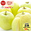 【出荷中】山形県産 ご家庭用 青りんご 王林(おうりん) 5kg(準秀品/13～23玉入り)※日時指定はメールで※【おうりん オウリン リンゴ 林檎 訳あり わけあり 自宅用 家庭用 果物 フルーツ 人気 売れ筋 山形県 送料無料 お取り寄せ】